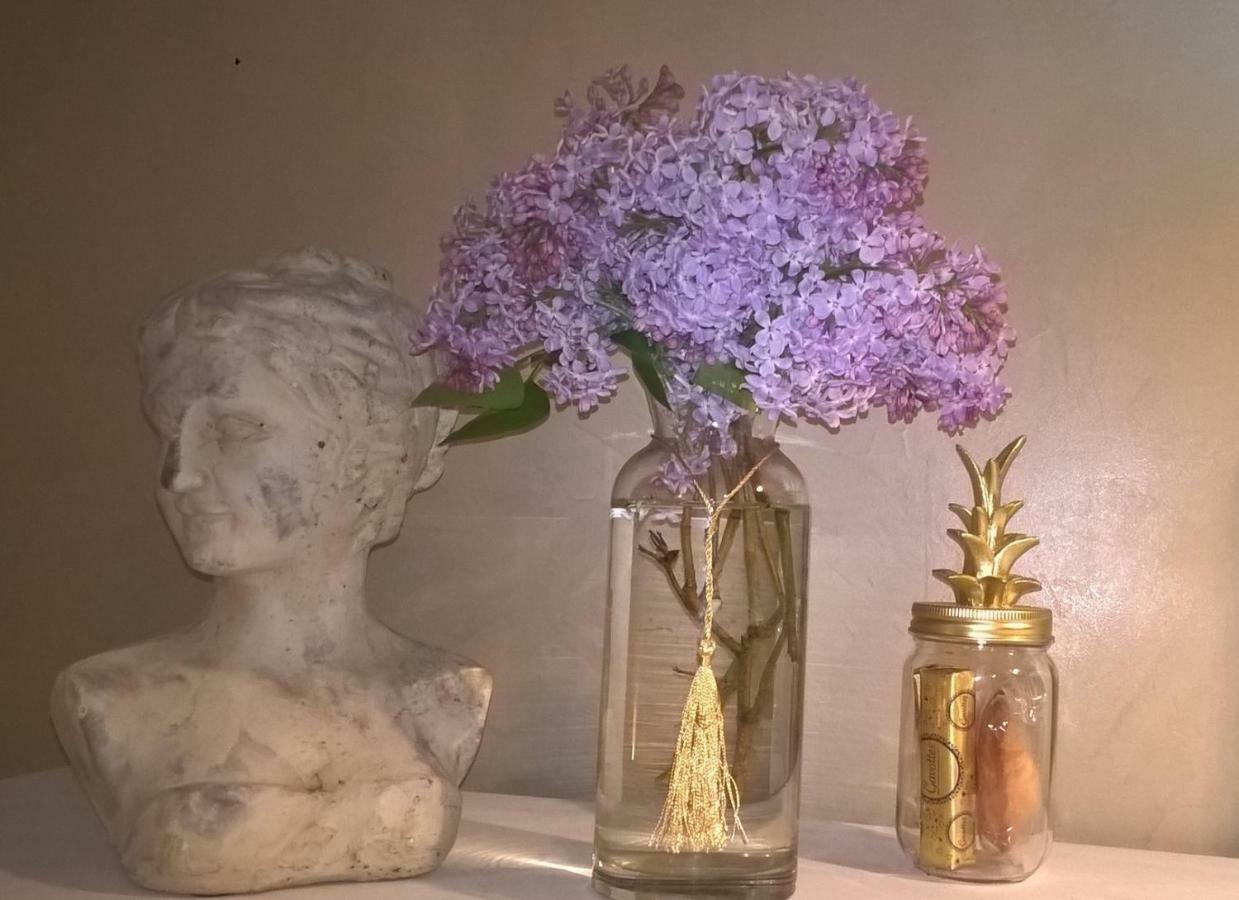 Le Clos Manceau Bed and Breakfast Λε Μανς Εξωτερικό φωτογραφία